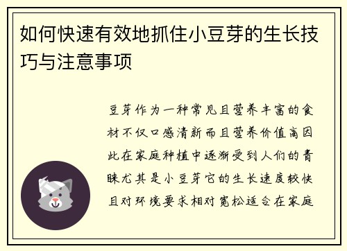 如何快速有效地抓住小豆芽的生长技巧与注意事项